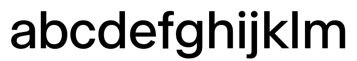 Selecta Regular Font LOWERCASE